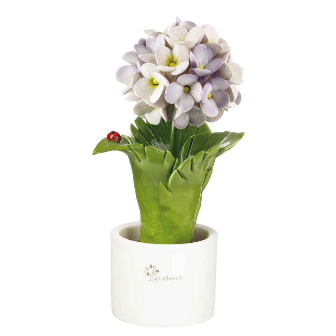 GLI ALBERELLI PIANTINA FOGLIA ORTENSIA LILLA