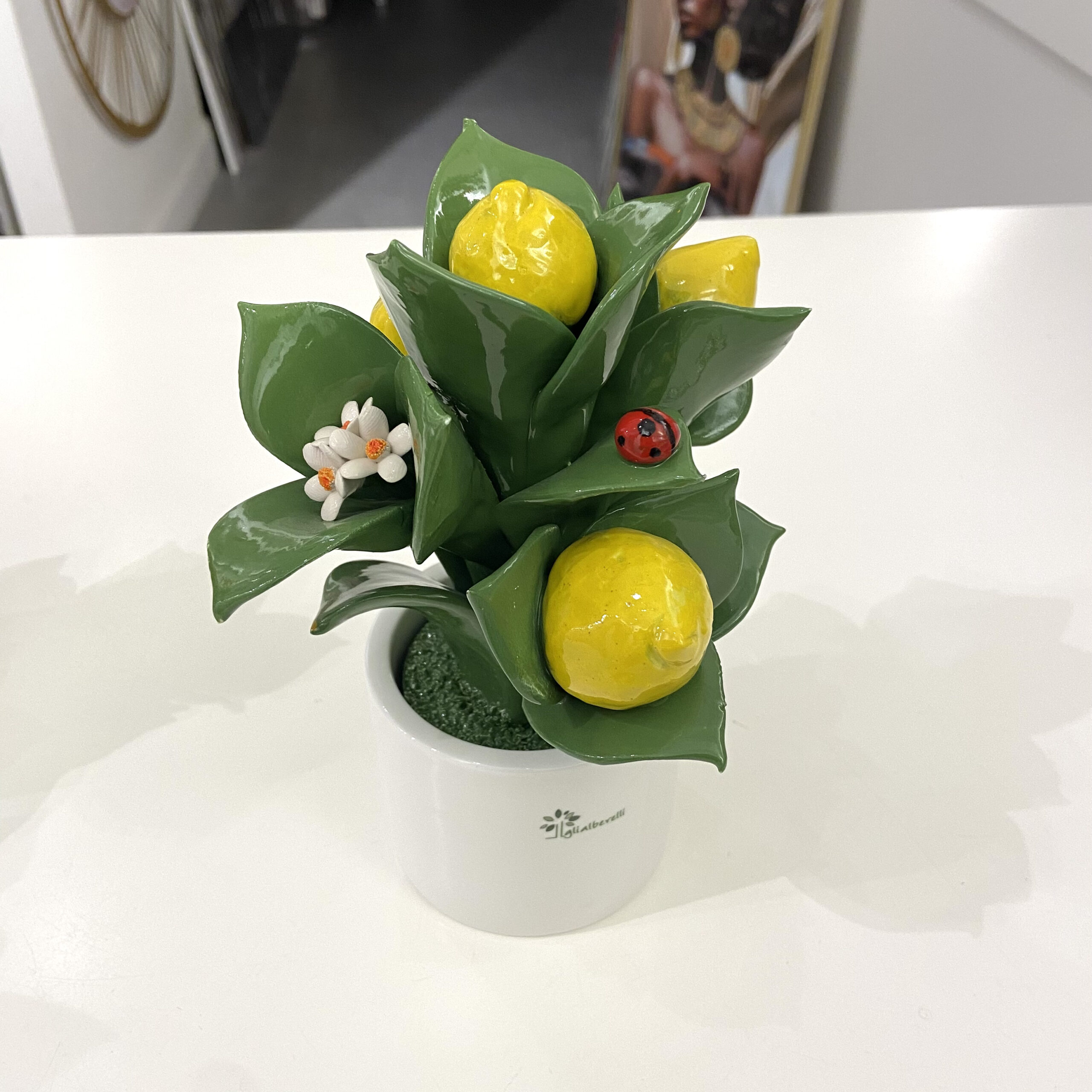 GLI ALBERELLI ALBERELLO PIANTINA MULTIFRUTTI LIMONI - immagine 3