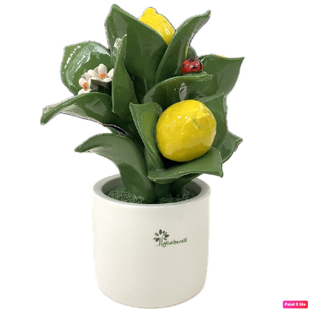 GLI ALBERELLI ALBERELLO PIANTINA MULTIFRUTTI LIMONI