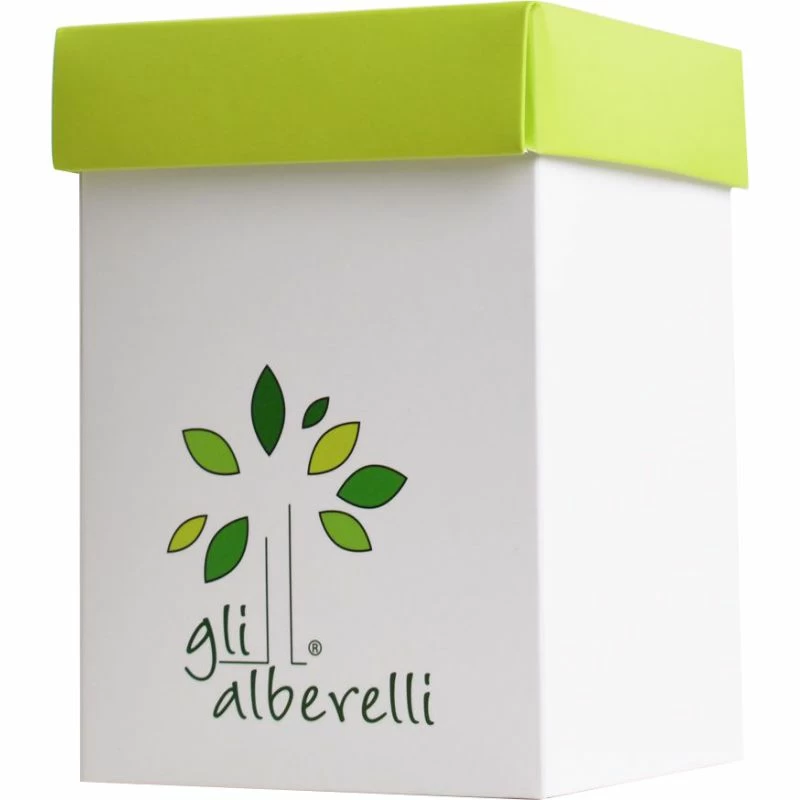 GLI ALBERELLI ALBERELLO PIANTINA MULTIFRUTTI LIMONI - immagine 2