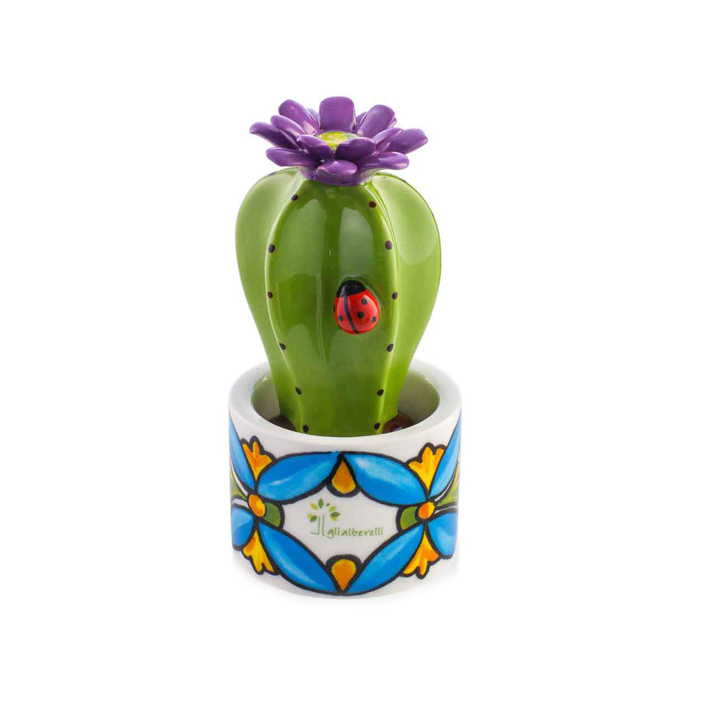 GLI ALBERELLI PIANTINA AMICA PICCOLA ASTROPHYTUM – POSITANO