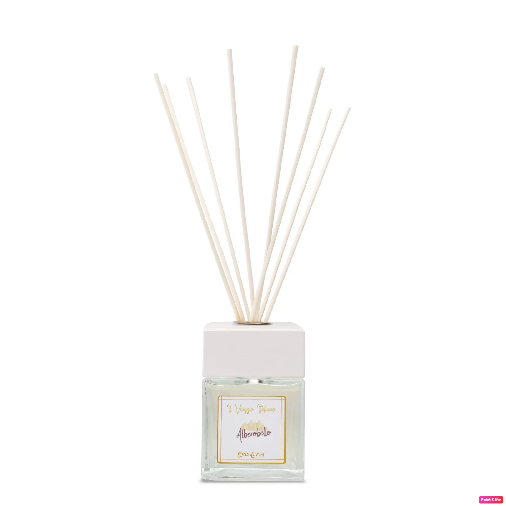 ERBOLINEA IL VIAGGIO ITALIANO ALBEROBELLO