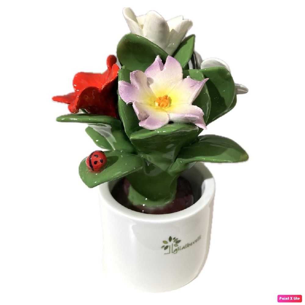 GLI ALBERELLI PIANTINA MULTI FIORI