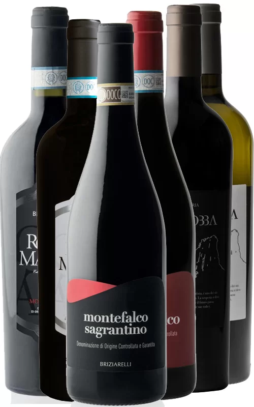 CARTONE MISTO BRIZIARELLI 6 BOTTIGLIE