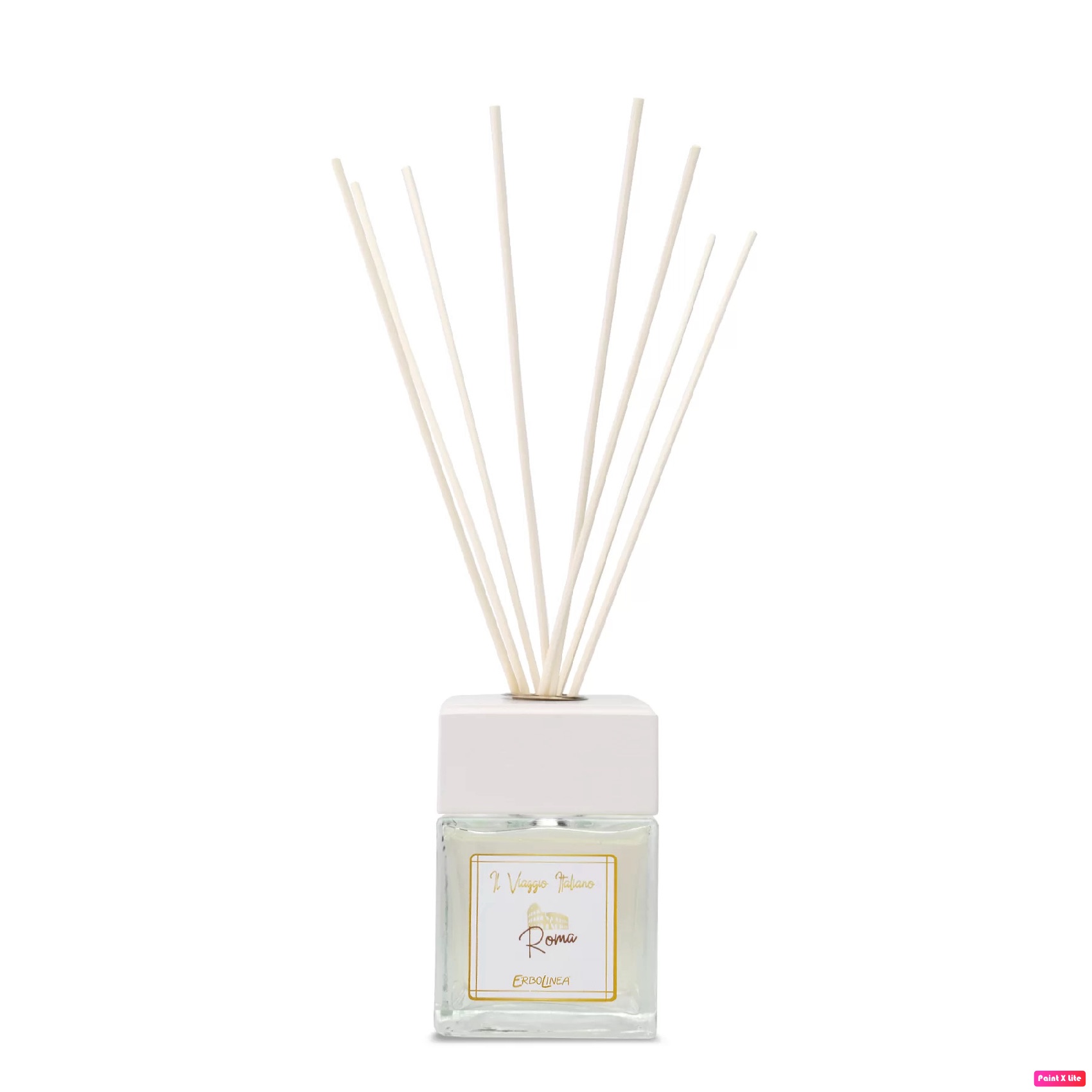 ERBOLINEA IL VIAGGIO ITALIANO ROMA