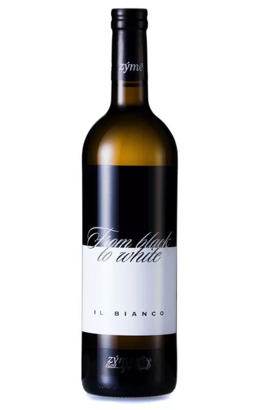 ZÝMĒ FROM BLACK TO WHITE